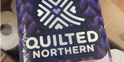 High Value Quilted Northern Printable Coupon (Save on Toilet Paper w/ These In-Store Deals)