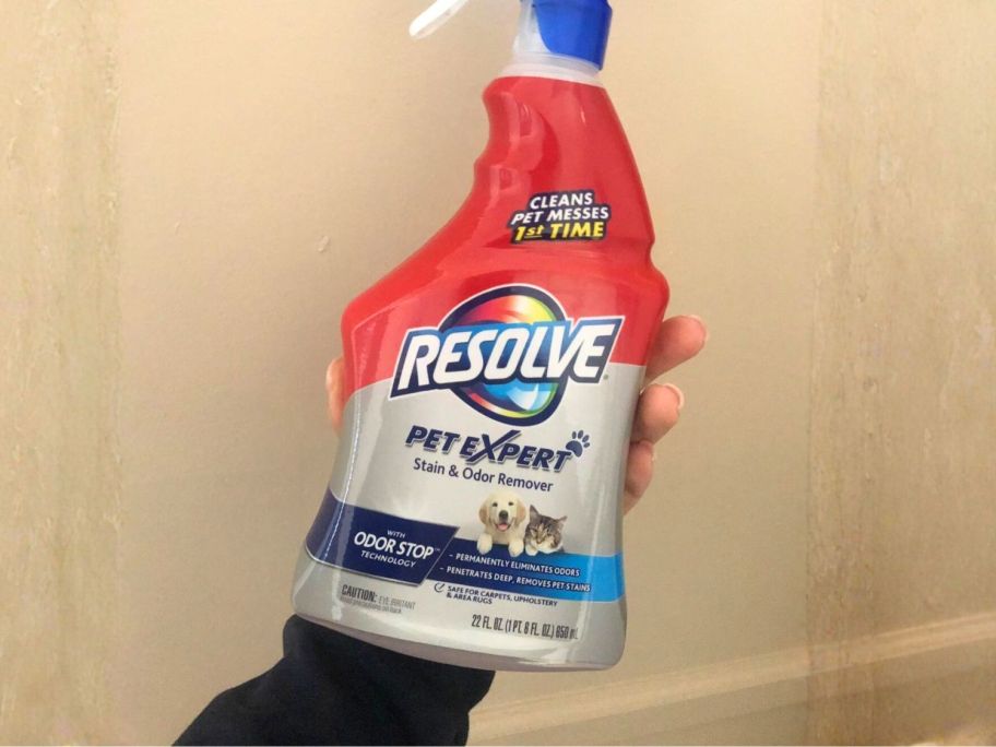 hand holding Resolve Pet Expert Stain & Odor Remover Carpet Cleaner bottle