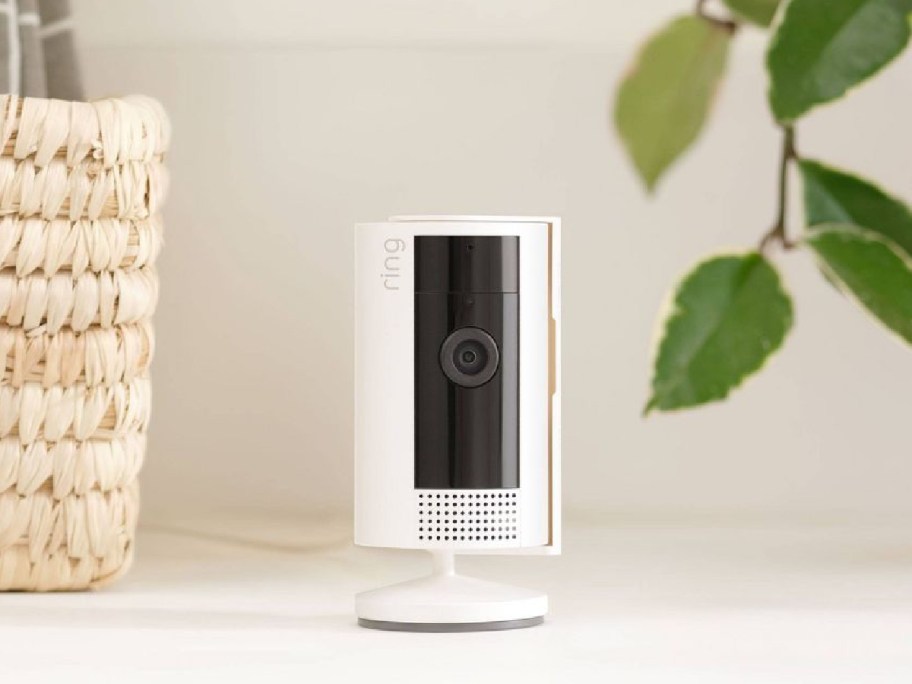 Ring - Indoor Plug-In 1080p Security Camera displayed