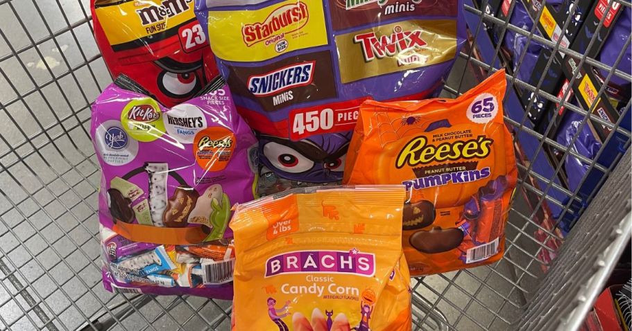 Sam’s Club’s Next Instant Savings Are SO Good — Pumpkin Spice, Halloween Candy + Home Deals!