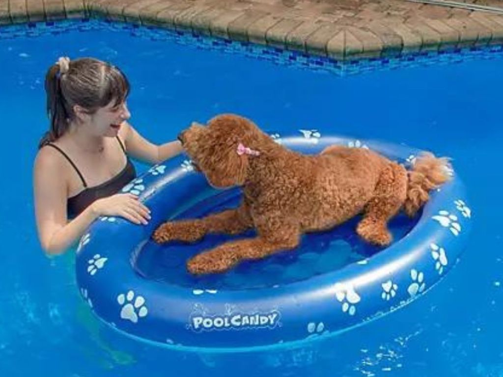 Doggy pool float with poodle on it