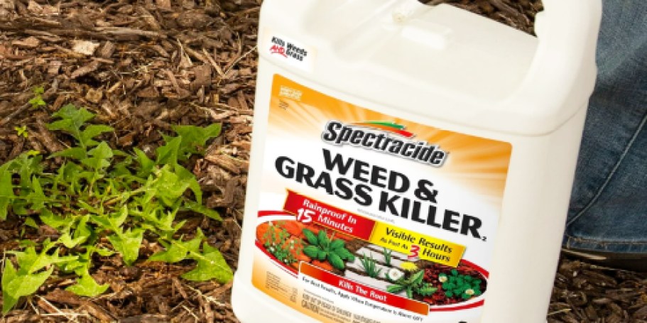 Spectracide Weed & Grass Killer Spray 1-Gallon Bottle Just $5 Shipped on Lowes.com