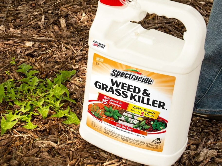 white bottle of Spectracide Weed & Grass Killer on bark near green weed