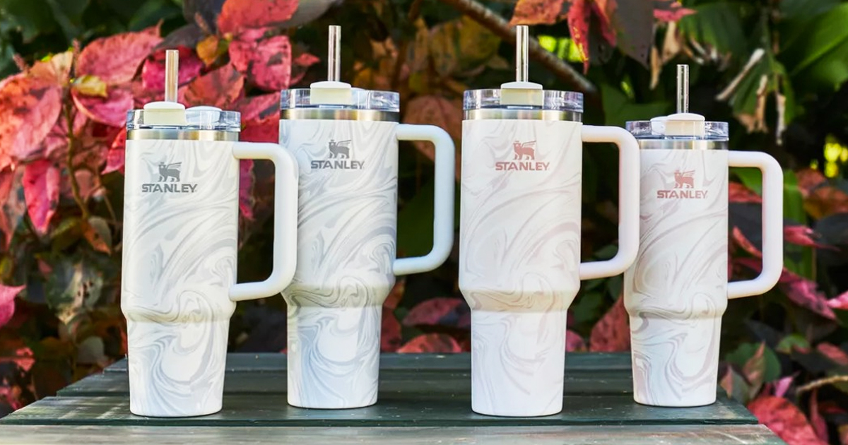 Stanley Tumblers X Hearth & Hand With Magnolia Available NOW At Target ...