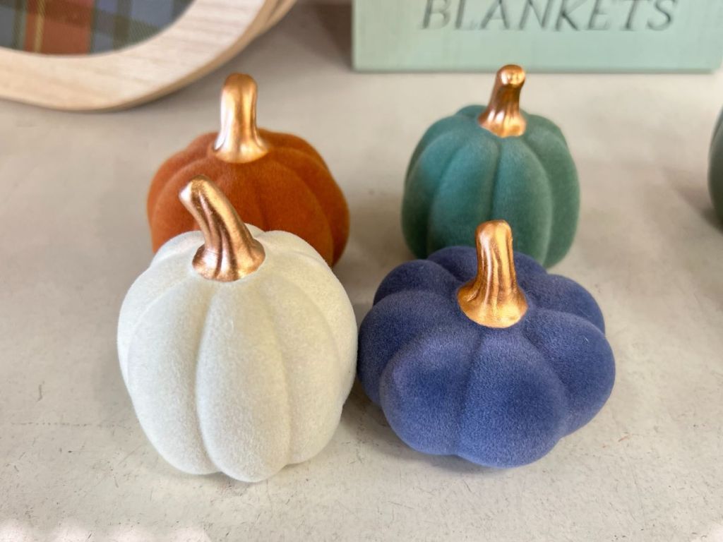 Flocked Mini Pumpkins with Gold Stems from Target