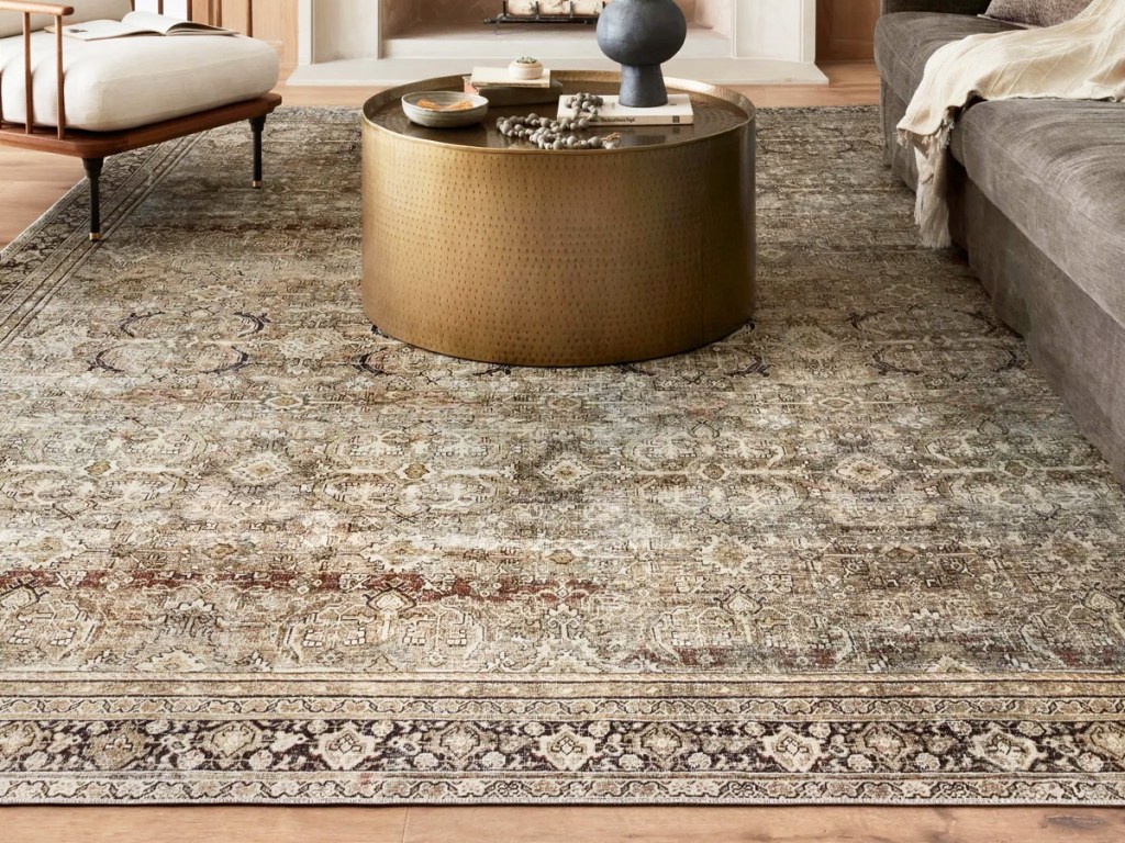 brown area rug with round coffee table on it