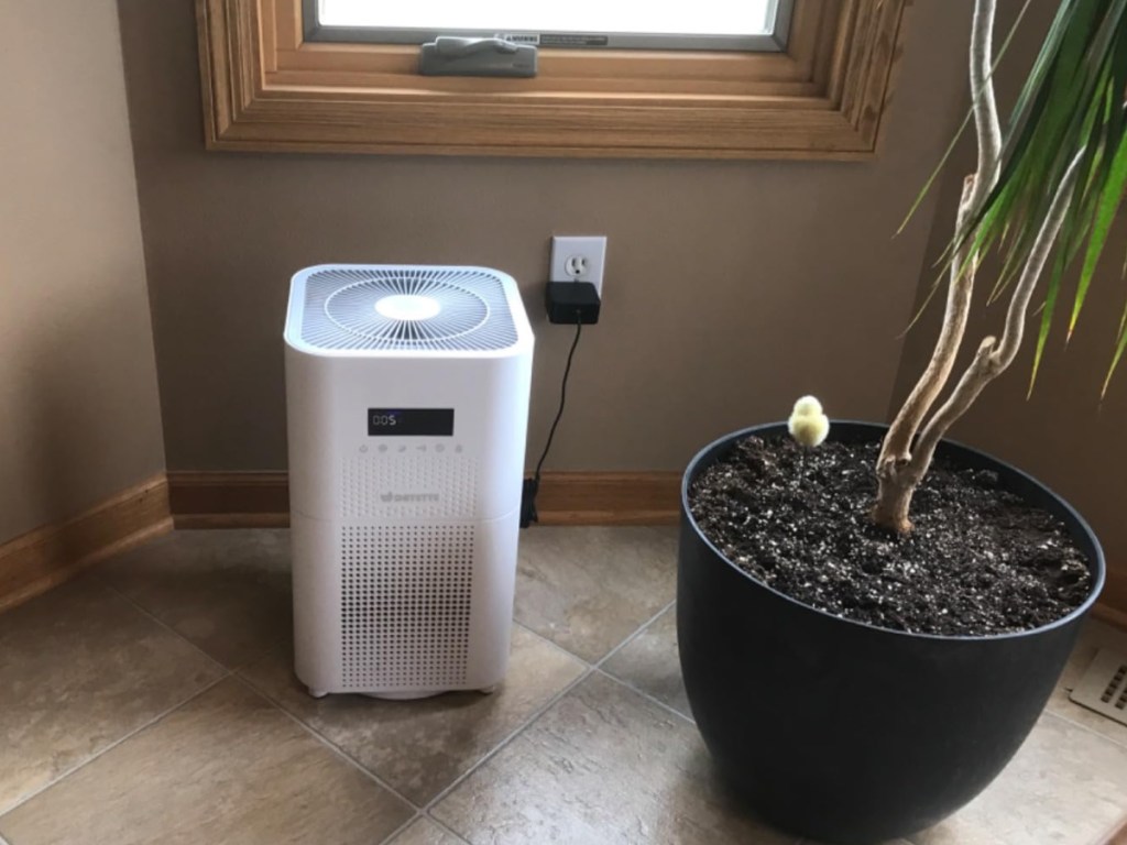 air purifier next to plant and under a window