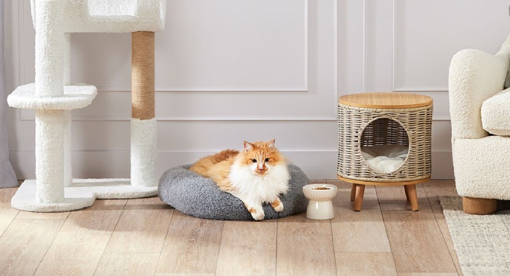 fluffy orange cat in grey cat bed