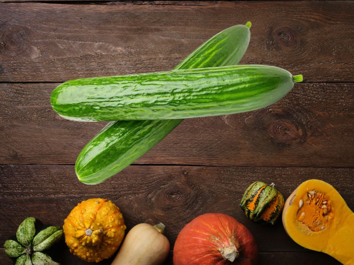 2 cucumbers on wood table with other vegetables