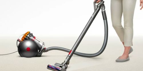 Dyson Big Ball Canister Vacuum Only $289 Shipped on Walmart.com (Reg. $400)