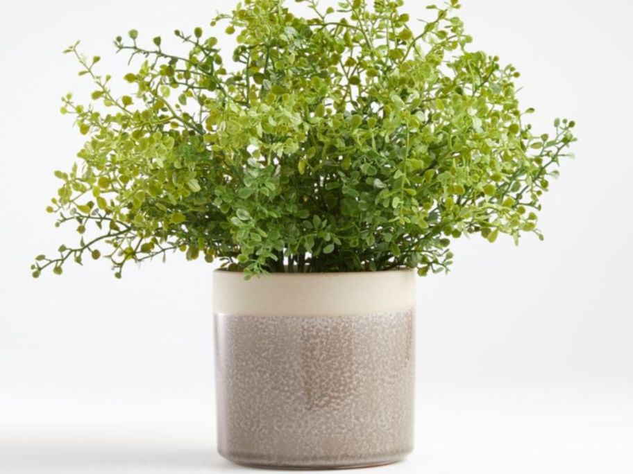 Crate & Barrel Faux Potted Greenery