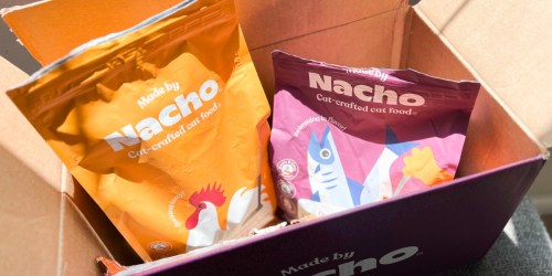 Earn 5x PetSmart Treats Rewards Points on Made by Nacho, Blue Buffalo, & More Cat Food Brands