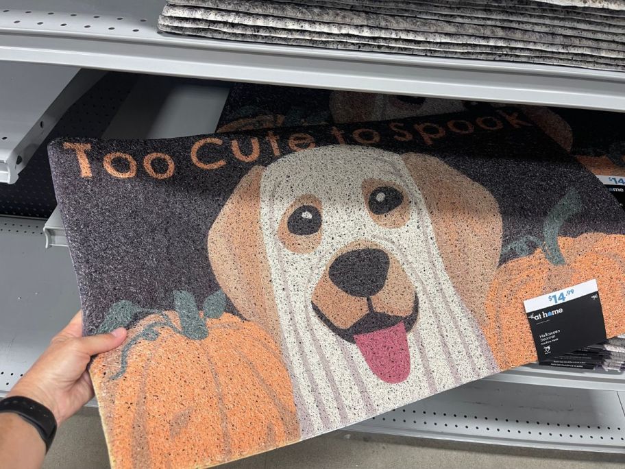 dog door mat