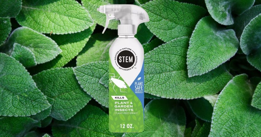 STEM 12oz Plant Spray against leaves