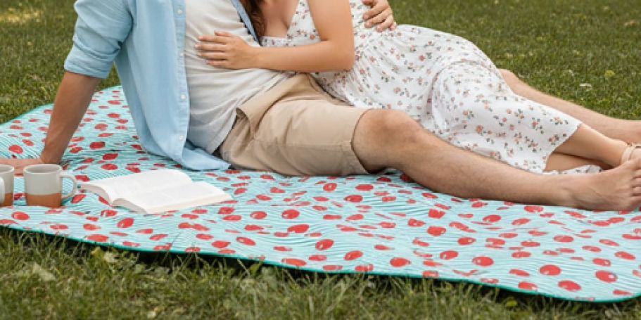 NEW Mainstays Outdoor Blankets w/ Handle Just $14.92 on Walmart.com