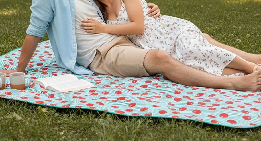 NEW Mainstays Outdoor Blankets w/ Handle Just $14.92 on Walmart.com