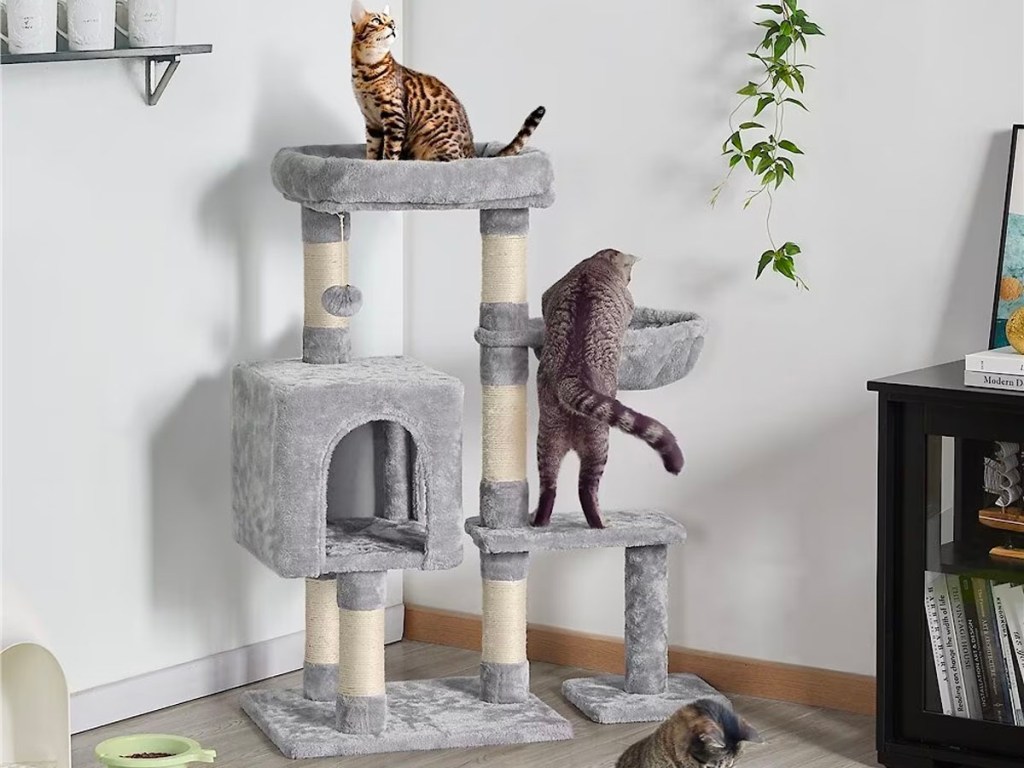 cats playing on gray cat tree 