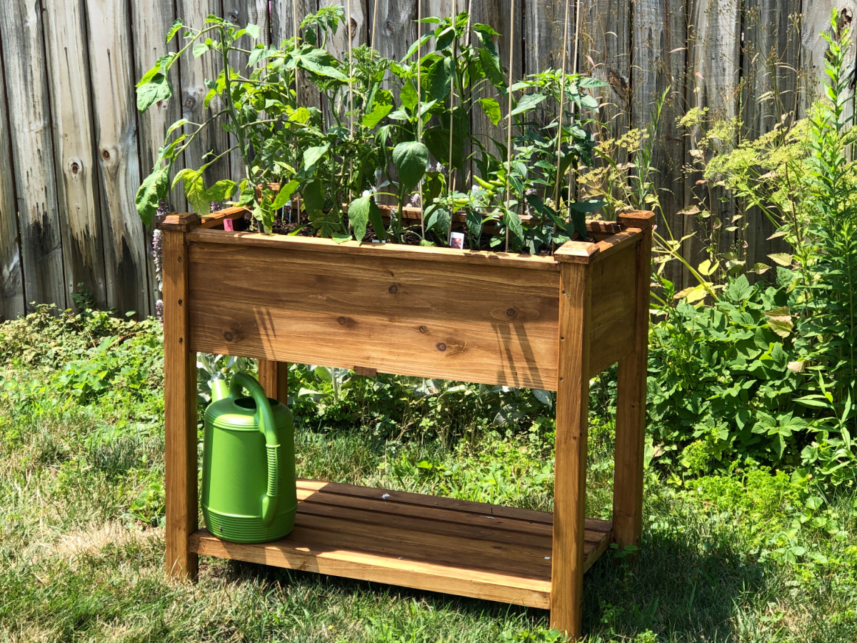 wooden raised garden bed with plants in it