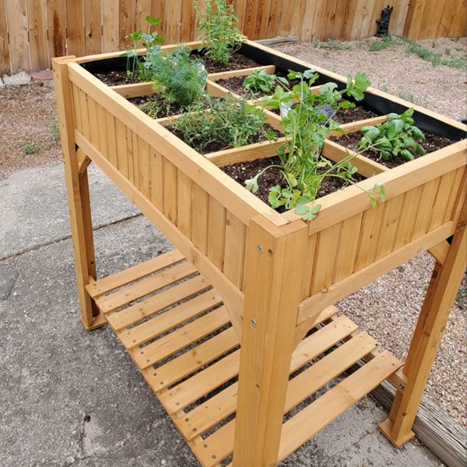 raised garden bed with compartments and plants growing inside