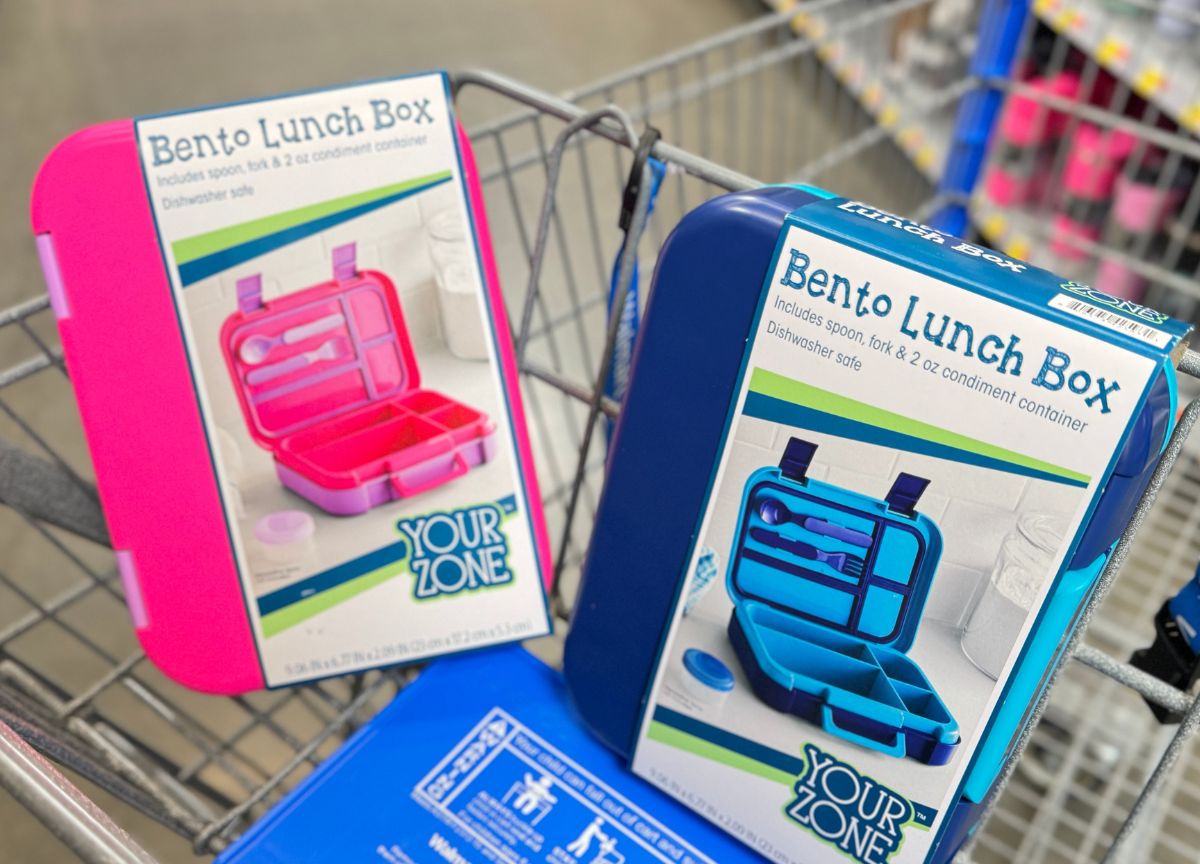 Bento Lunch Box Only $5.98 at Walmart – Includes Utensils & Condiment Container (Bentgo Alternative)