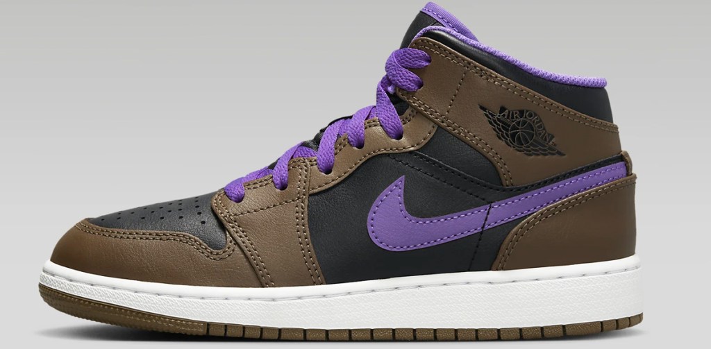 black, brown, and purple air jordan shoe