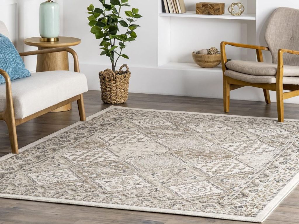 Amazon-Area-Rugs-3 سجاد منطقة 6 × 9 فقط 59 دولارًا يتم شحنها على أمازون (تسجيل 254 دولارًا) |  5 خيارات الألوان!