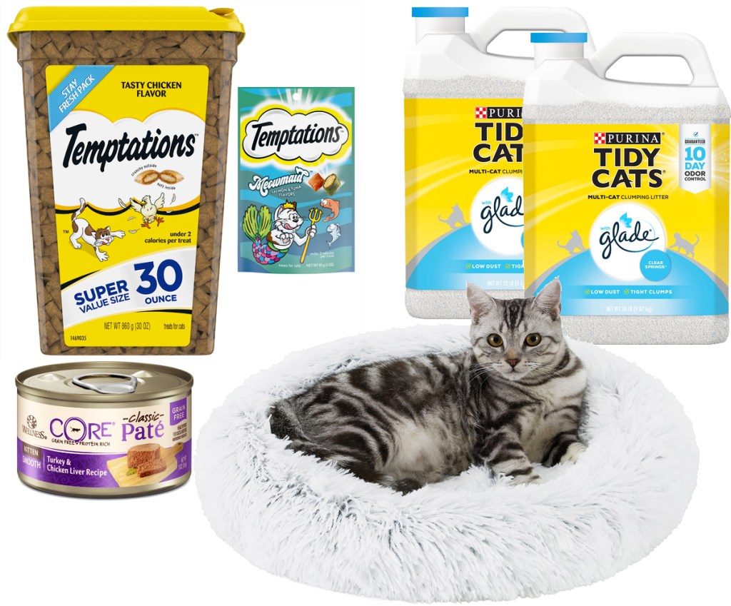 cat bed, litter, treats, and can of food