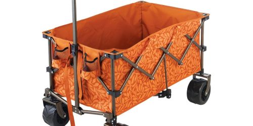 Collapsible Wagon Only $39.99 Shipped on Woot.com (Regularly $112) | Great for Sporting Events & Beach Trips!