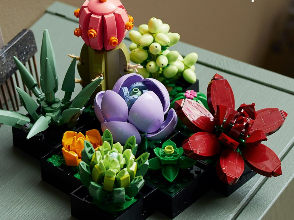Display of LEGO Botanical Collections Succulents Set displayed on the table