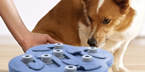 Up to 70% Off Outward Hound Dog Toys on Amazon | Puzzle Just $5.93 (Reg. $20)
