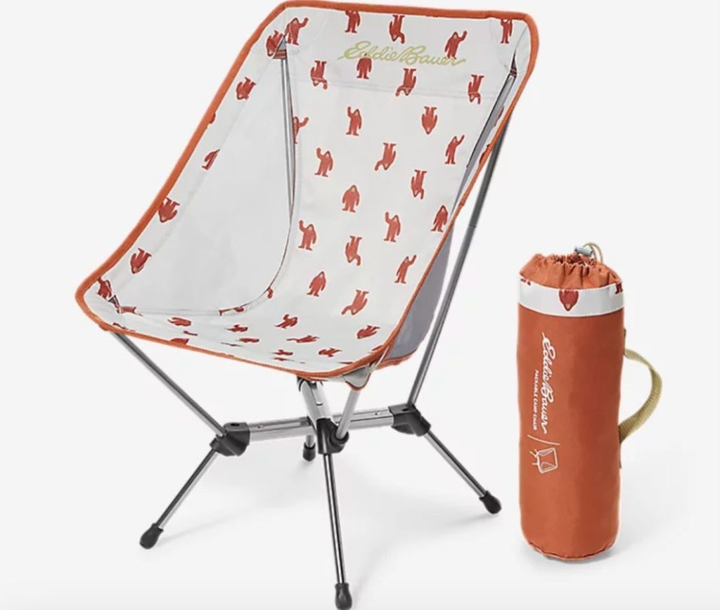 Eddie Bauer Camp Chair
