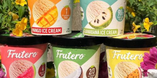 Frutero Ice Cream Pints Just $1.85 Each After Cash Back at Publix