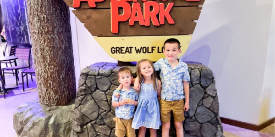 Great Wolf Lodge $93 Per Night + SIX Waterpark Passes (Escape the Cold w/ Heated Pools!)