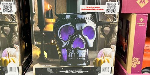Up to 40% off Sam’s Club Halloween Decor | Ceramic Skeleton Lantern Only $24.98 (Reg $40) + More!