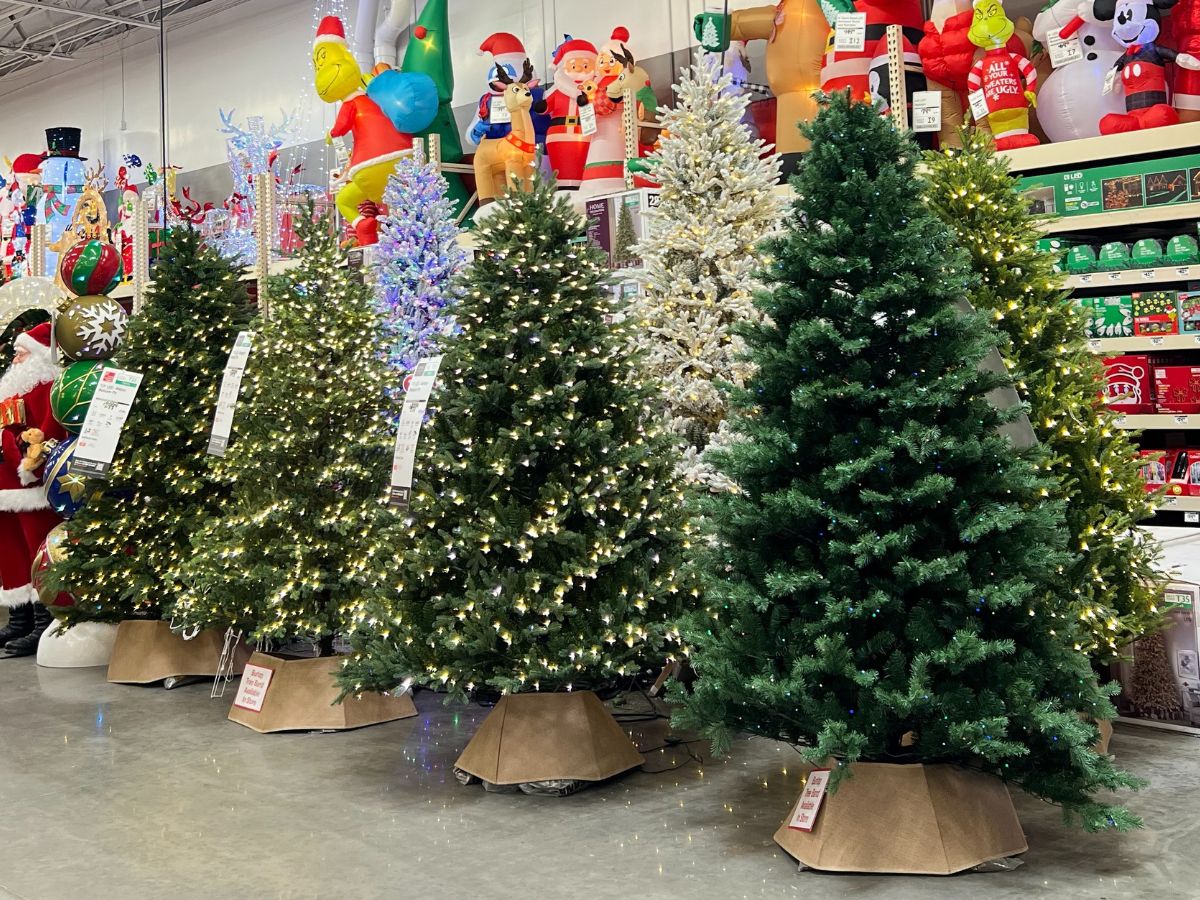 Home Depot Christmas Trees