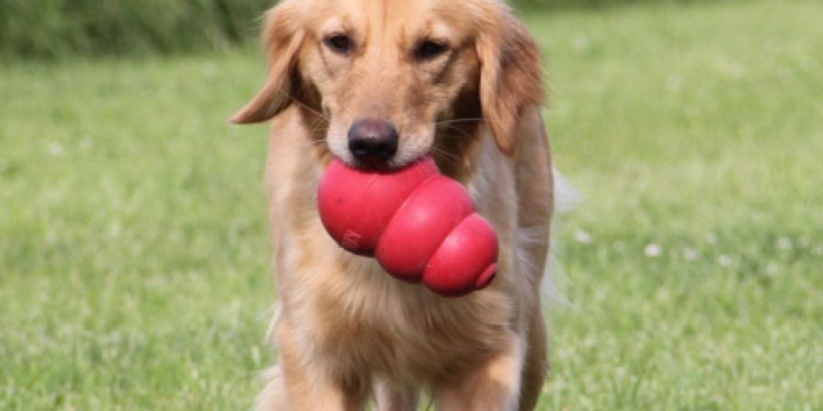 Kong Classic Medium Dog Toy 2-Pack Only $13.48 on Amazon ($6.74 Each)