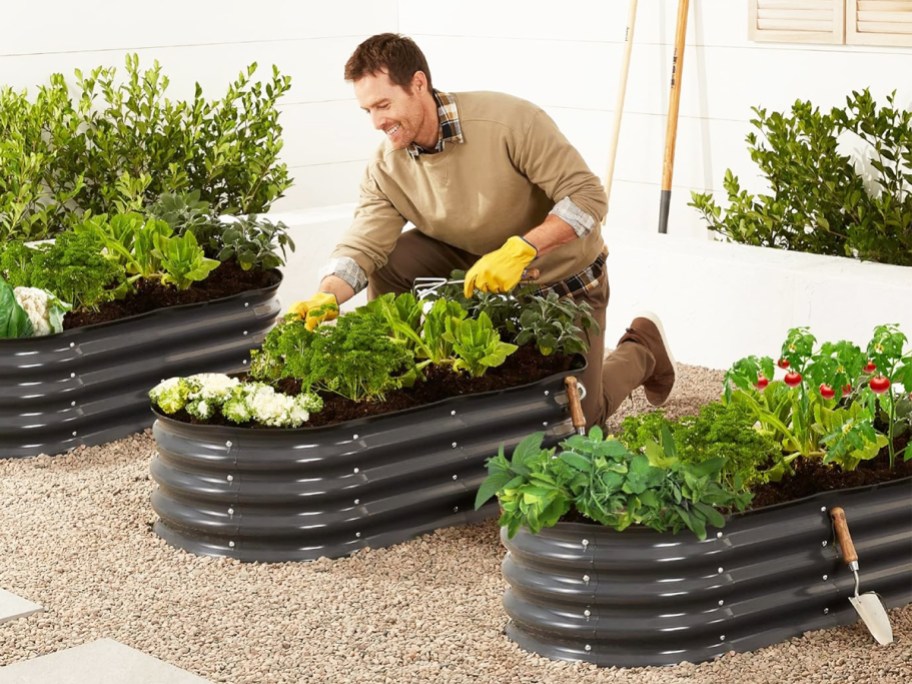 man kneeling next to an oval raised garden bed