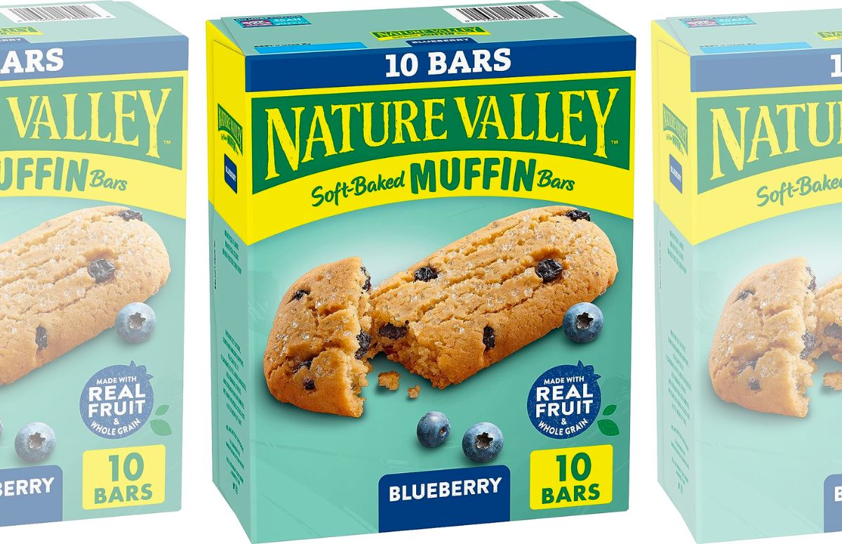 Nature valley blueberry muffin snack bars