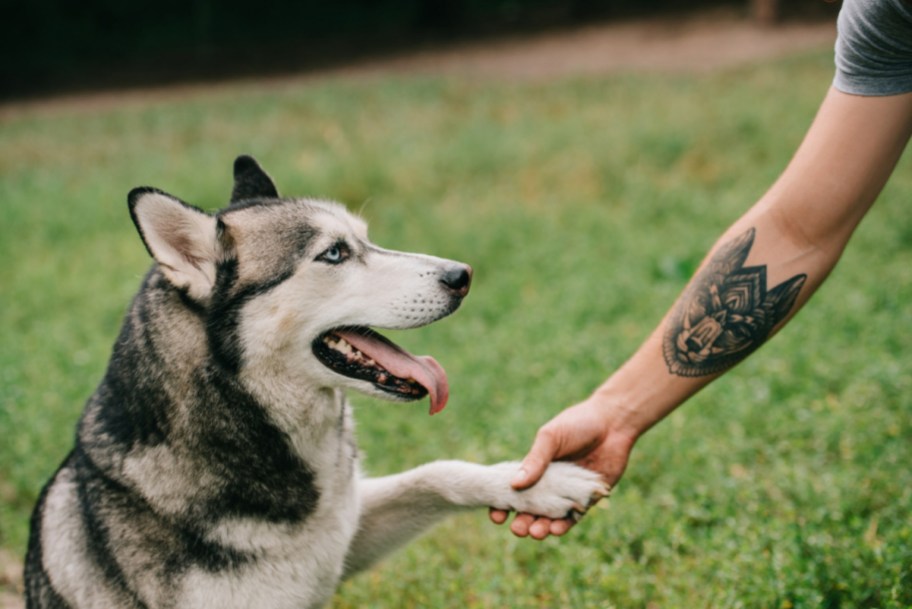 A man with a pet tattoo thanks to PetSmarts rewards program