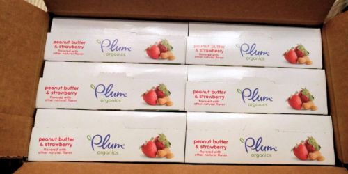 Plum Organics Snack Bars 30-Pack Only $15.21 Shipped on Amazon (Just 50¢ Each)