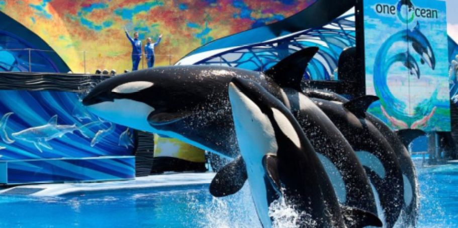 Up to 60% Off SeaWorld, Busch Gardens, & Aquatica Tickets + A FREE Meal