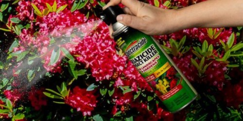 Spectracide Insect Killer for Gardens 16oz Can Only $1.52 on Amazon (Regularly $8)