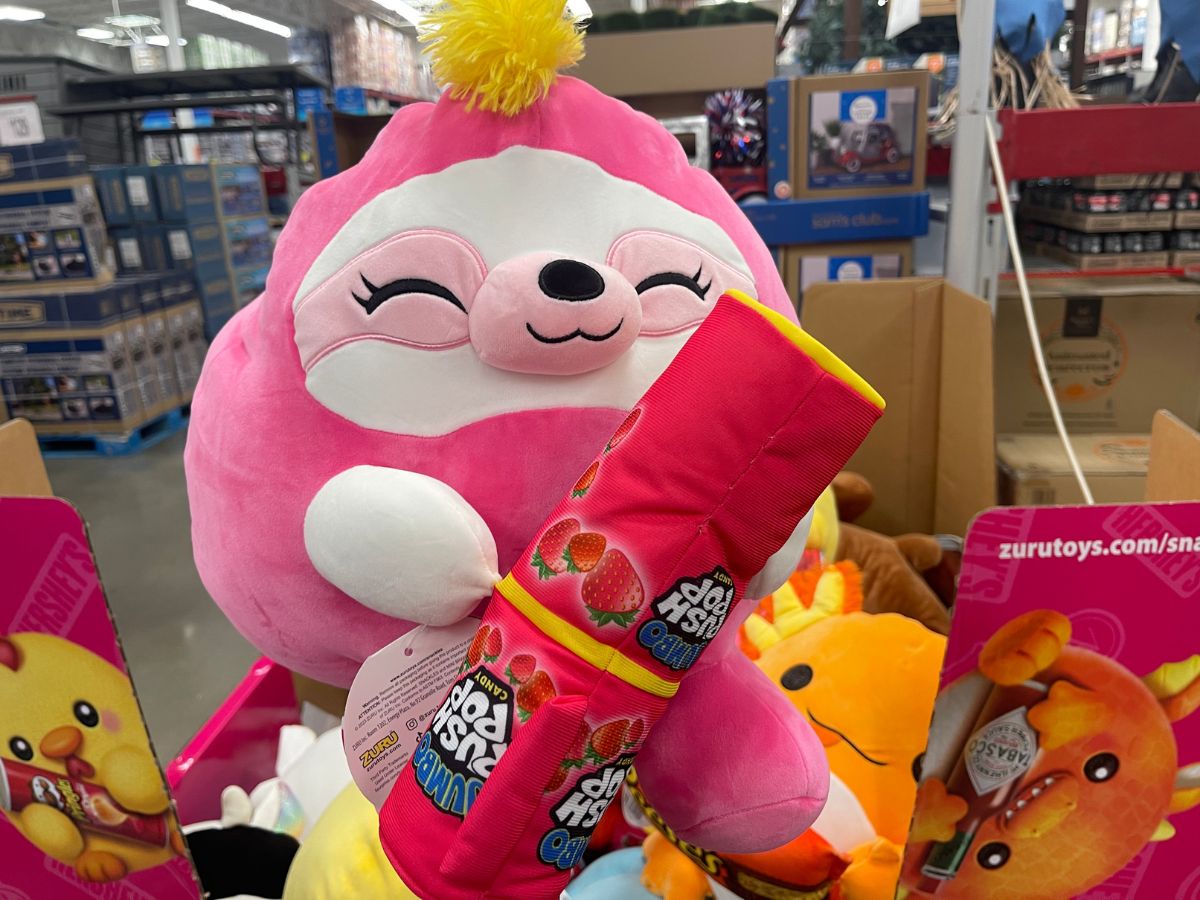 A pink sloth plush toy holding a push pop