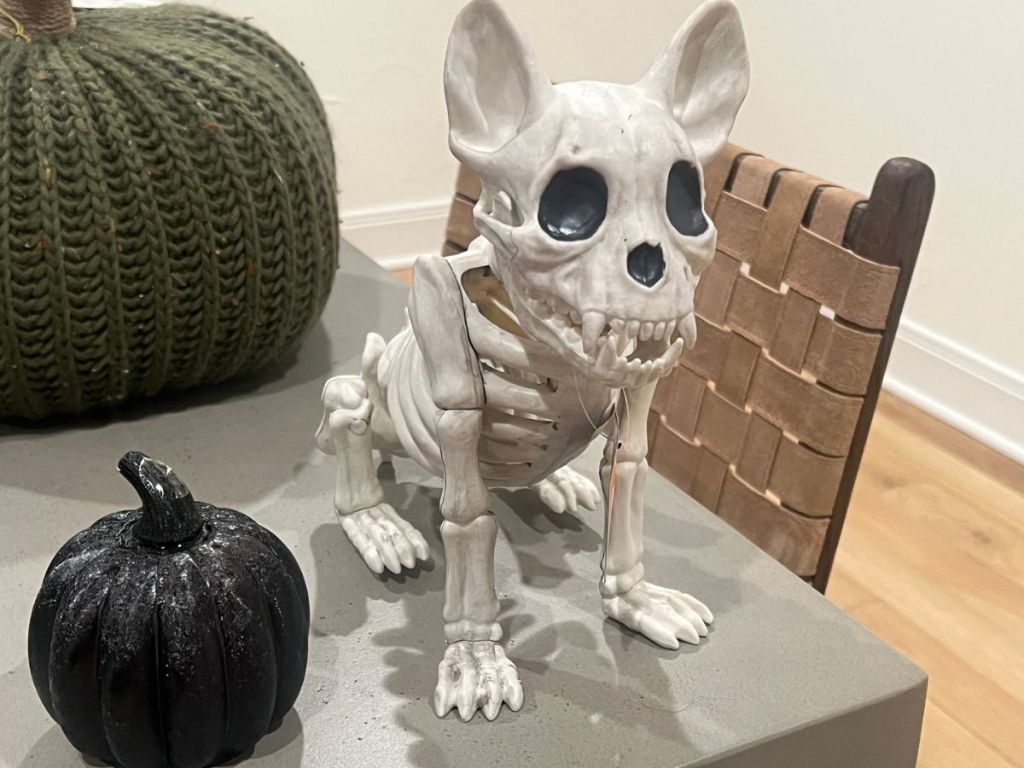 a black glass pumpkin decoration and a french bulldog skeleton decoration set on a table