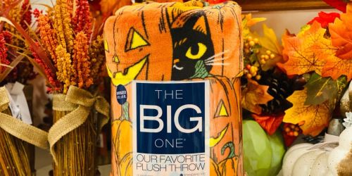 Kohl’s The Big One Throw Blankets from $11.99 (Fun Halloween & Disney Designs)