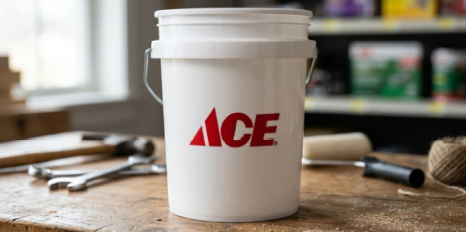 Hurry! FREE Mini Bucket at ACE Hardware Today ONLY