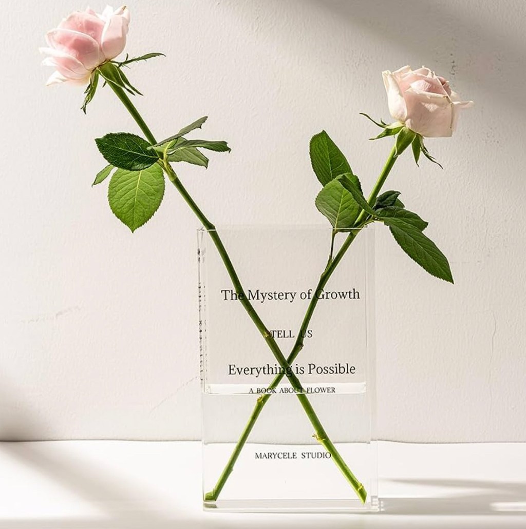 clear acrylic book vase with pink tall stemmed roses inside