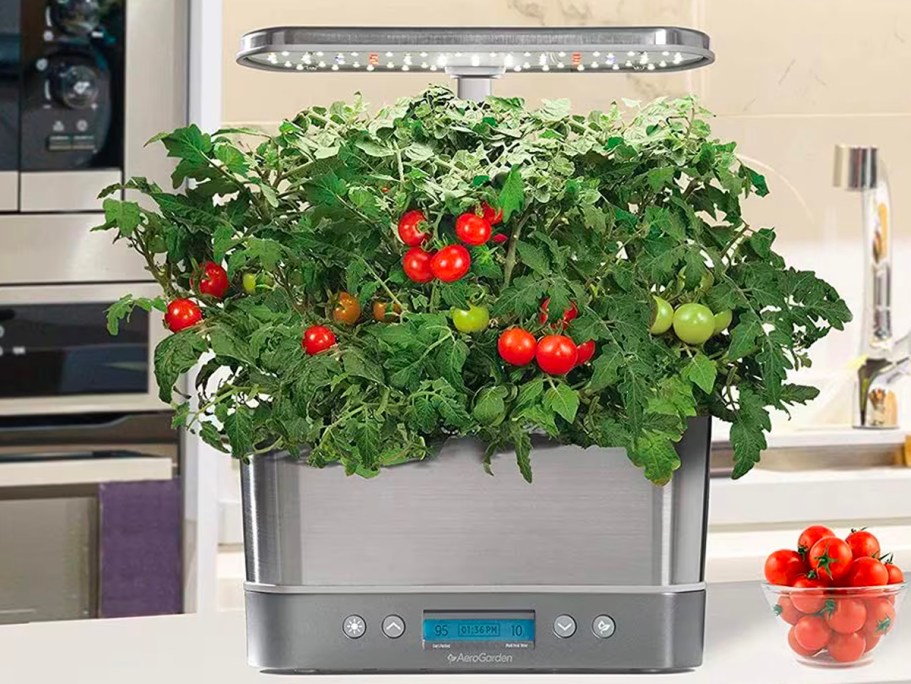 AeroGarden Harvest Elite ONLY $79.95 Shipped (Reg. $120) – Grows Up to 6 Plants!