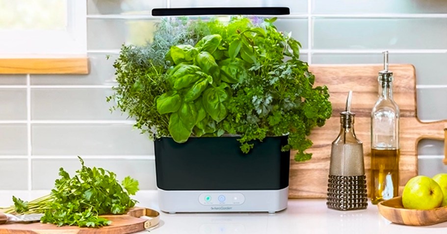 Save BIG w/ Amazon Warehouse Deals | AeroGarden Harvest Just $63 Shipped (Regularly $150)