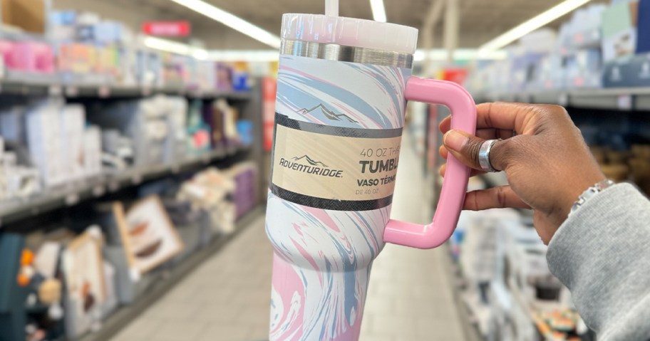 HURRY! ALDI Stanley Tumblers Lookalikes Just $9.99 + More